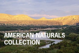 americannaturals_collection